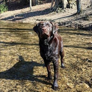 Meet your Posher, Sam